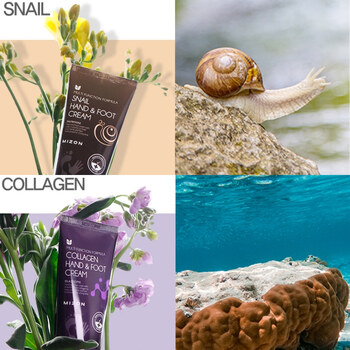 Krém na ruky a nohy s morským kolagénom ( Collagen Hand and Foot Cream)